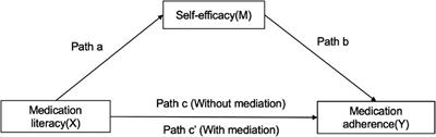 Mediating Effect of Self-Efficacy on the Relationship Between Medication Literacy and Medication Adherence Among Patients With Hypertension